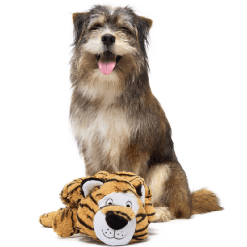 BOX ATB 213121 BENJI THE BOUNCING TIGER OTTO 2731 1200x800 9b9f185