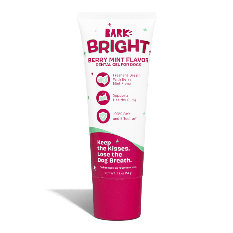 BRIGHT 215738 BERRY MINT TOOTHPASTE SMALL GRID 0005 SHADOW e678a509 0033 4994 a130 8fcad182c308