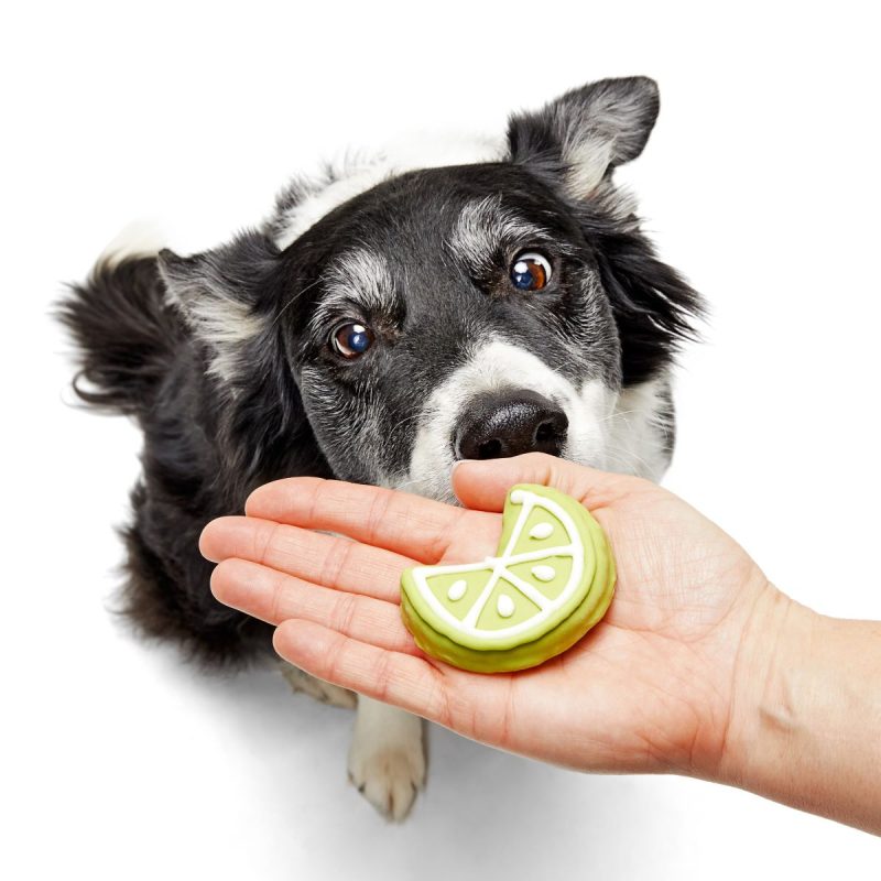 FOOD ATB 214571 LIME TIME COOKIE 2362