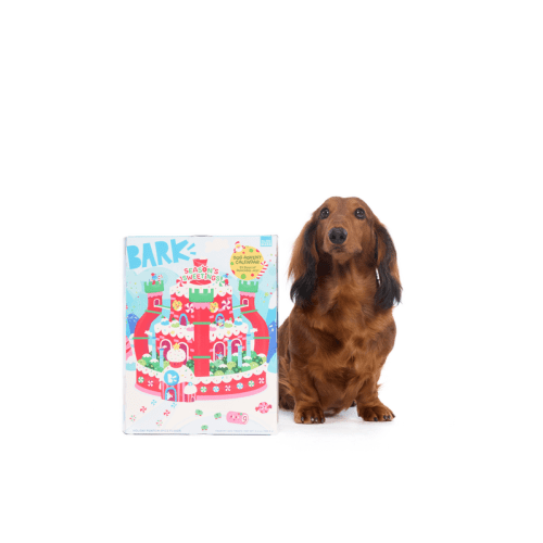 FOOD ATB 216176 SEASONS SWEETINGS DOG ADVENT CALENDAR LUCY 3368 1200x800 9b9f185