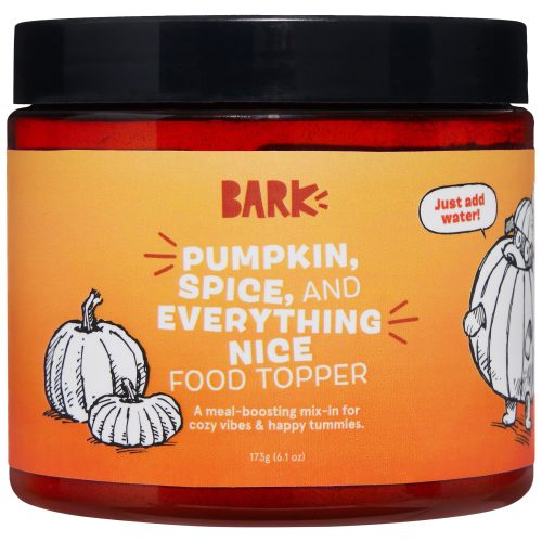 FOOD 214782 PUMPKIN SPICE AND EVERYTHING NICE TOPPER GRID 0024 1