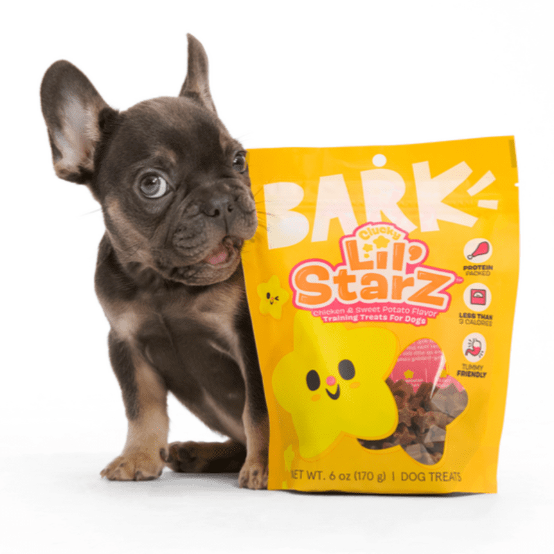 FOOD 216265 CLUCKY LIL STARZ TRAINING TREATS LIFESTYLE ALFIE 3297 1200x800 9b9f185