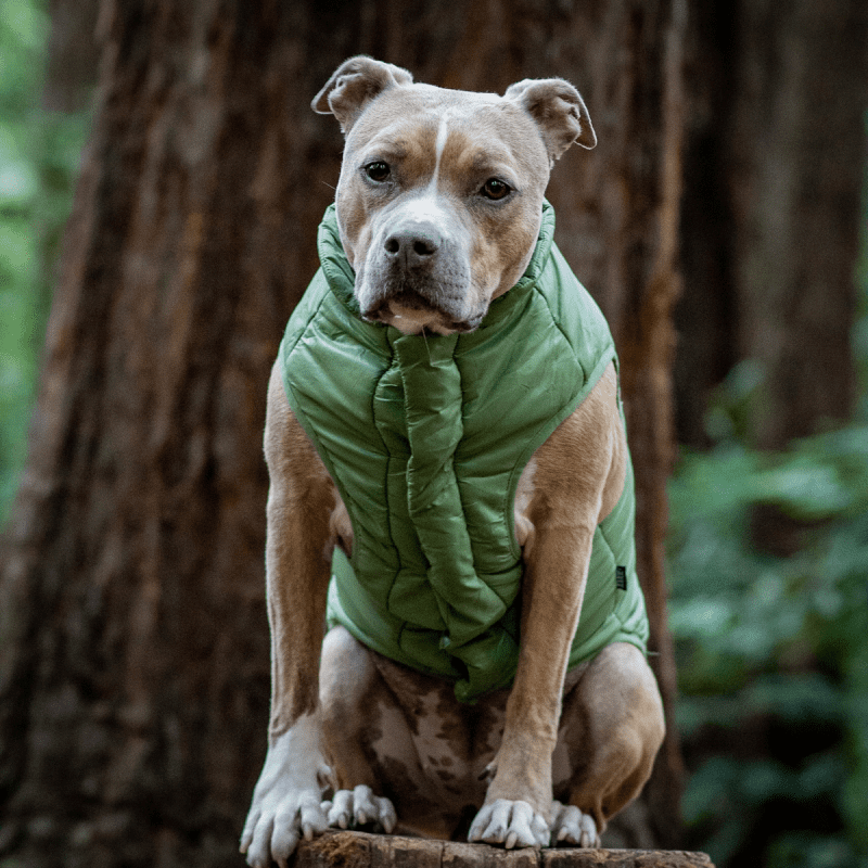 HOME ATB GWP 213006 PUFFY PUPPER VEST OLIVE XL XXL INDIE 12 1200x1200 28e5ebb