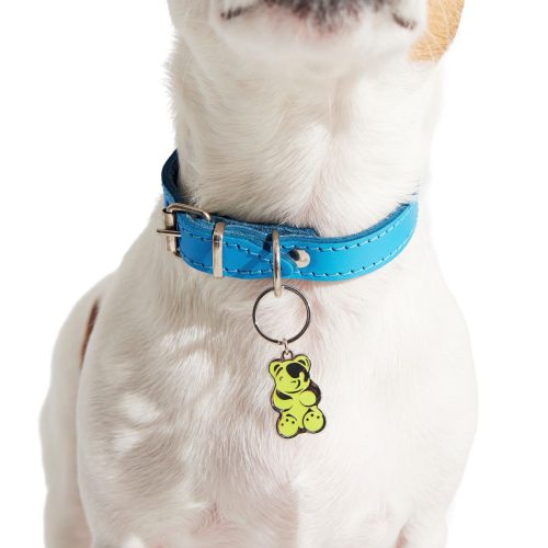 HOME ATB 212054 GRRROOVY DOG COLLAR CHARMS 1131 2