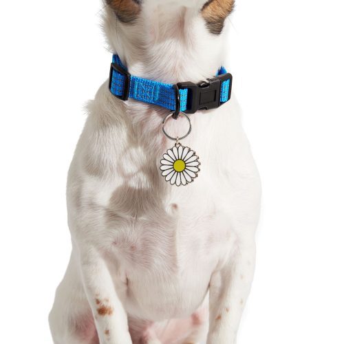 HOME ATB 212054 GRRROOVY DOG COLLAR CHARMS 1264 2