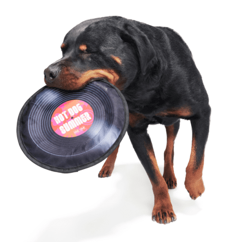 SC ATB 212169 DISCO DOGGO DISC M L 1948copy 2000x1333 d6a1640 2ea96a18 d0ce 4890 9cdd 50a738c7e459