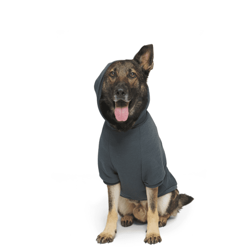 SC GWP CHARCOAL HOODIE 24897 1200x800 9b9f185